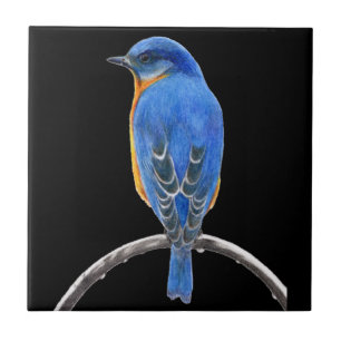 Bluebird Kakelplatta