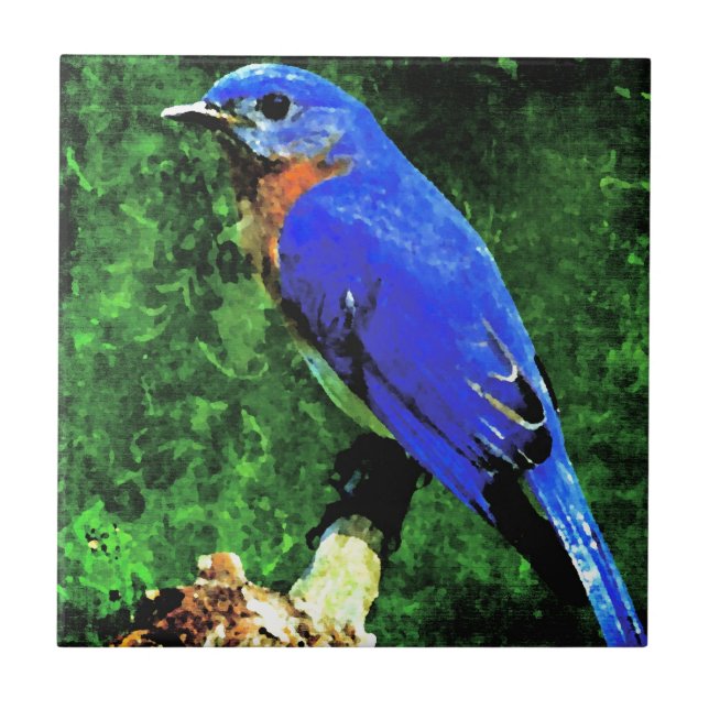 Bluebird Kakelplatta (Framsidan)