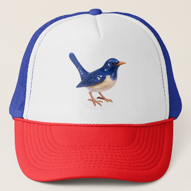 Bluebird Keps (Framsida)