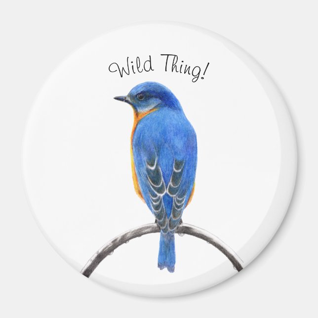 Bluebird Magnet (Framsidan)