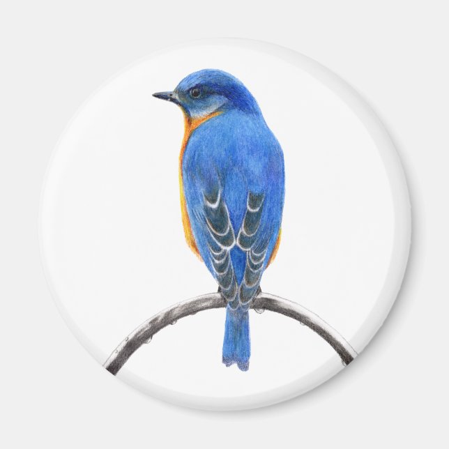 Bluebird Magnet (Framsidan)