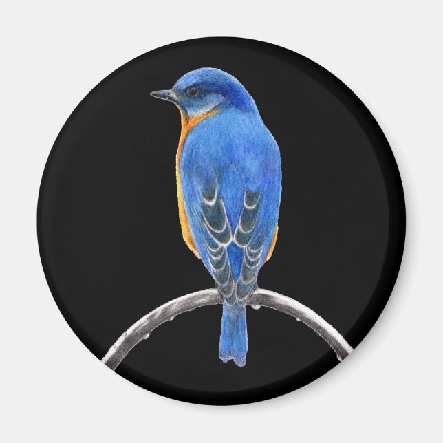 Bluebird Magnet (Framsidan)