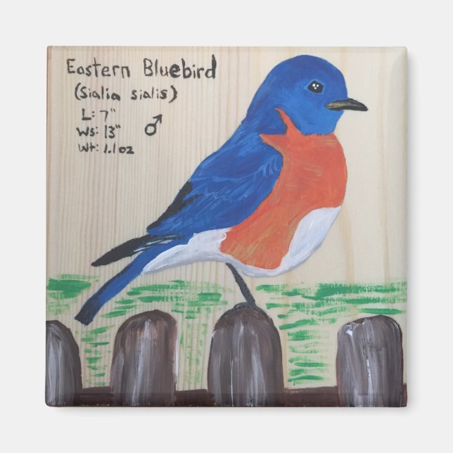 Bluebird Magnet (Framsidan)