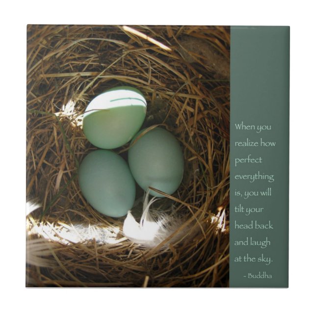 Bluebird Nest w/ Buddha Quote Kakelplatta (Framsidan)