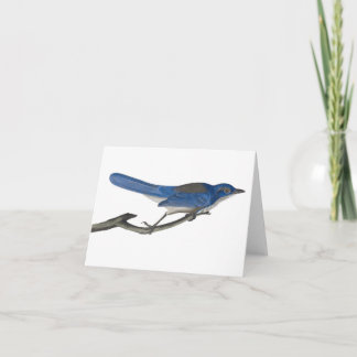 Bluebird Notecard Anteckningskort