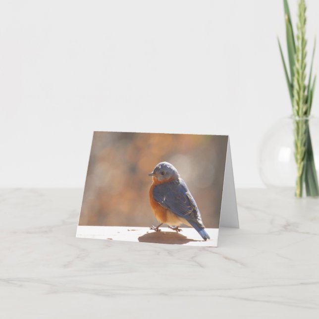 Bluebird Notecard - Blank Inside Tack Kort (Framsida)