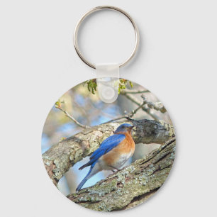Bluebird Nyckelring