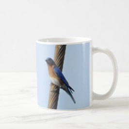 Bluebird på en Wire Mugg