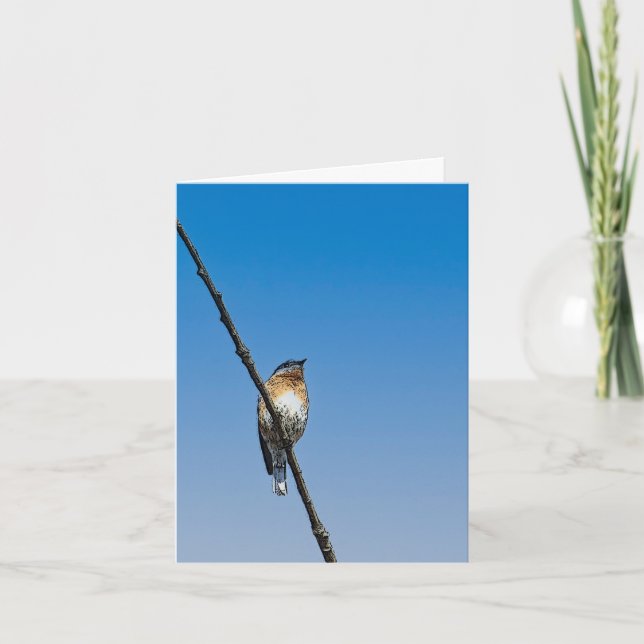 Bluebird på gren anteckningskort (Framsida)
