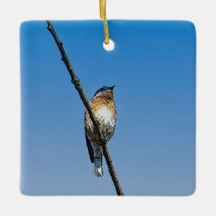 Bluebird på gren julgransprydnad keramik