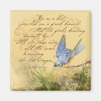 Bluebird på Gren och Victor Hugo-citatet Magnet