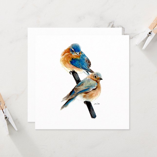 Bluebird Pair BeSnygg vattenfärg (Bluebird Pair Watercolor from Jenn Steffen Art)
