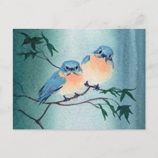 BLUEBIRD PAIR FRÅN SHARON SHARPE VYKORT (Framsida)