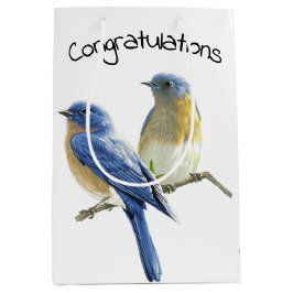 Bluebird Pair on White