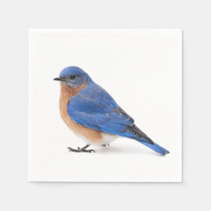 Bluebird Pappersservett