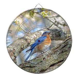 Bluebird Piltavla