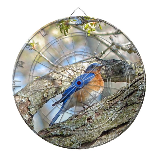 Bluebird Piltavla (Framsidan)