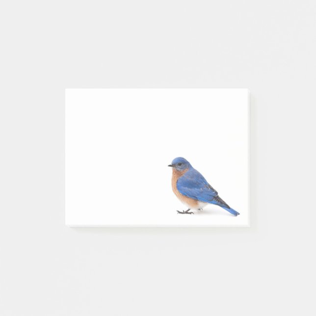Bluebird Post-it Block (Framsida)