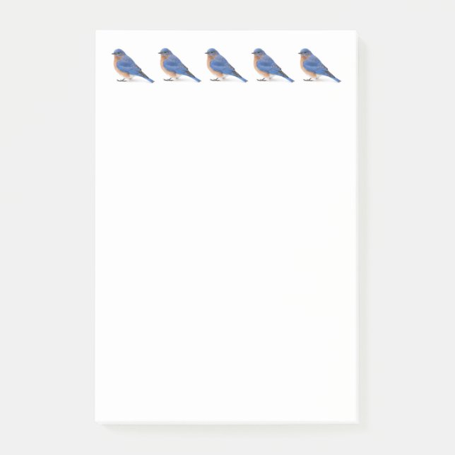 Bluebird Post-it Block (Framsida)
