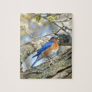 Bluebird Pussel