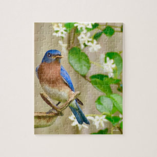 Bluebird puzzle "Tidigt fågel får mask" Pussel