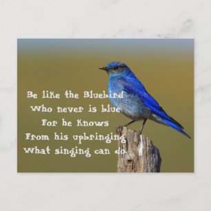 Bluebird Quote Vykort
