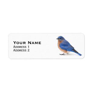 Bluebird Returadress Etikett