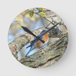 Bluebird Rund Klocka