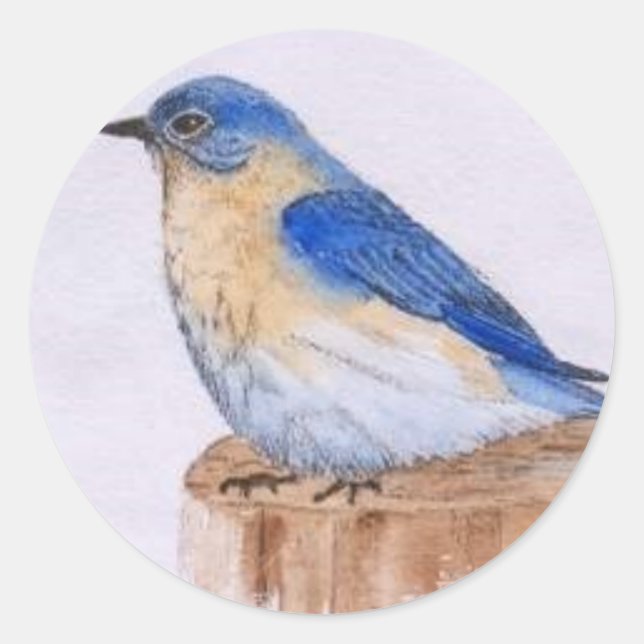 Bluebird Runt Klistermärke (Framsida)