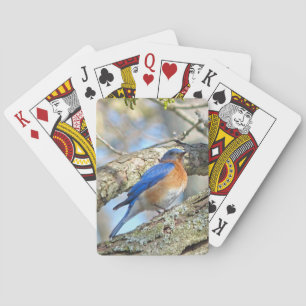 Bluebird Spelkort