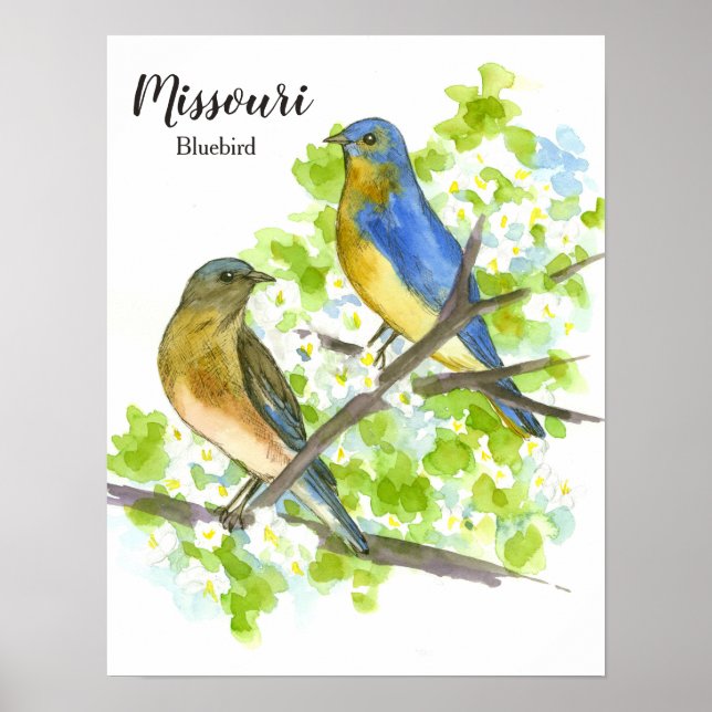 Bluebird State Bird of Missouri Poster (Framsidan)