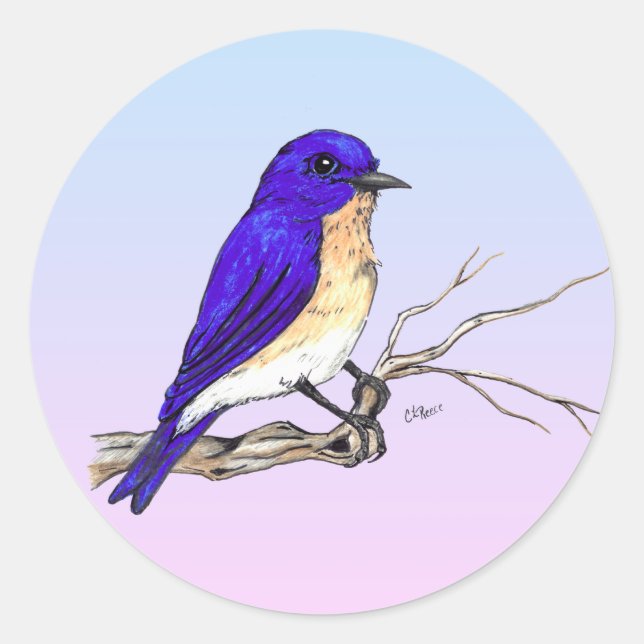 Bluebird Sticker Runt Klistermärke (Framsida)