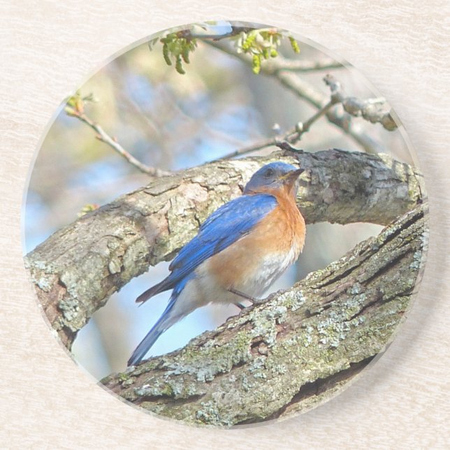 Bluebird Underlägg Sandsten (Framsidan)