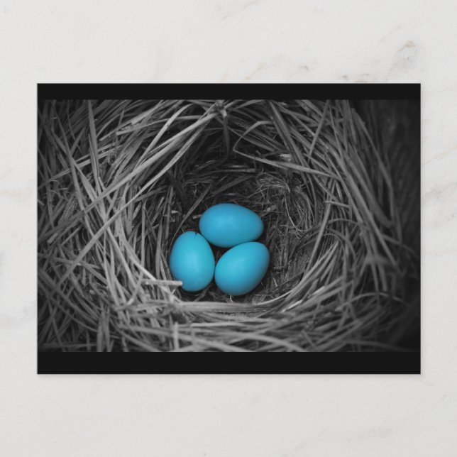 Bluebird Vykort (Framsida)