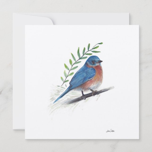 Bluebird Watercolor Art (Framsida)