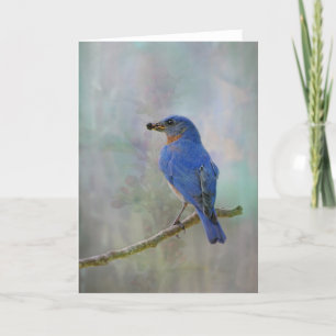 Bluebird Watercolor Helgkort