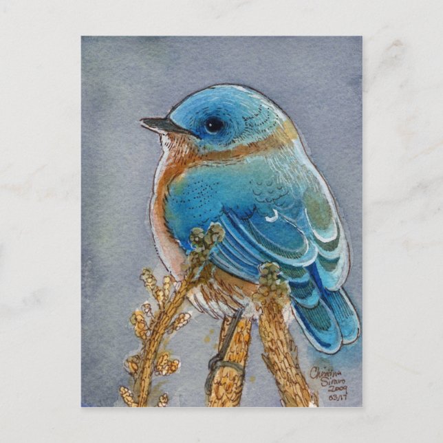 Bluebird Watercolor Vykort (Framsida)