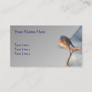 Bluebird Wildlife Nature Visitkort
