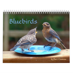 Bluebirds Calendar Kalender