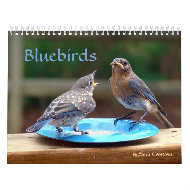 Bluebirds Calendar Kalender (Omslag)