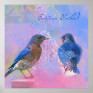 Bluebirds för vattenfärgsÖstra Poster