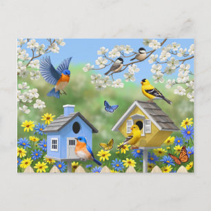 Bluebirds Goldfinches Birdhouse Blomsterträdgård Vykort