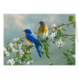 Bluebirds Hälsningskort