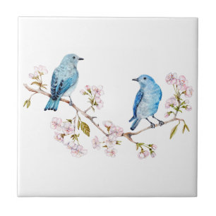 Bluebirds i bergsområdena vid Sakura Gren Kakelplatta