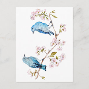 Bluebirds i bergsområdena vid Sakura Gren Vykort