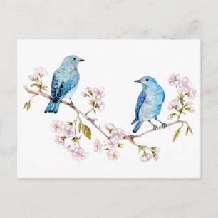 Bluebirds i bergsområdena vid Sakura Gren Vykort