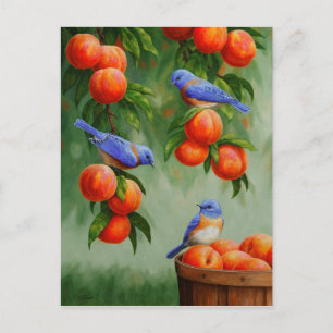 Bluebirds i Peach Träd Orchard Vykort