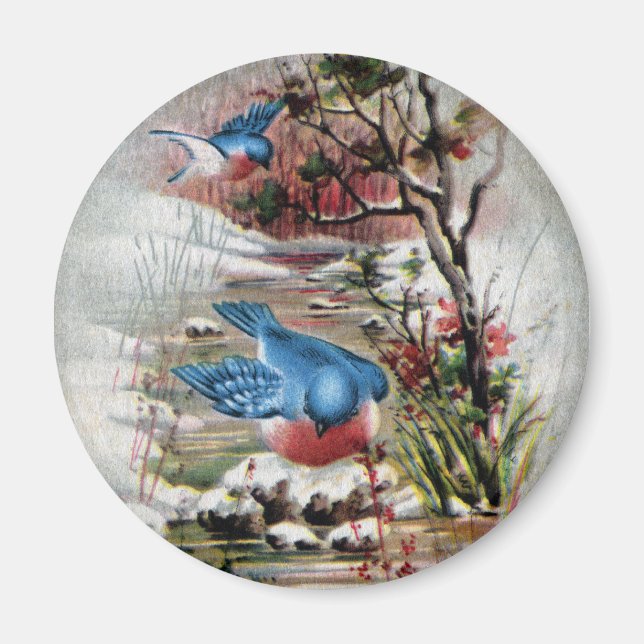 Bluebirds i vinterhelgen magnet (Framsidan)