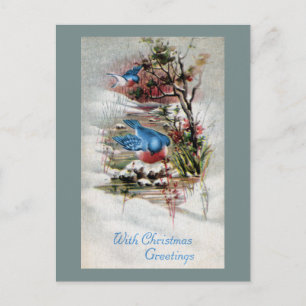 Bluebirds i vintervintagejul helg vykort