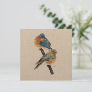 Bluebirds par vattenfärgsbilder